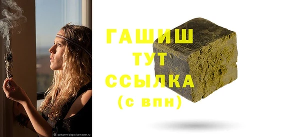 гидра Корсаков