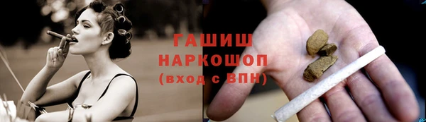 гидра Корсаков