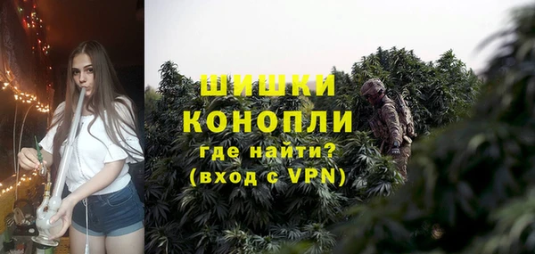 гидра Корсаков