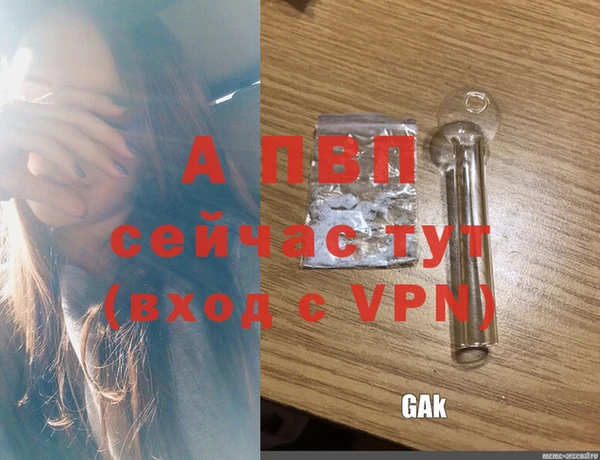 гидра Корсаков